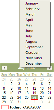 screenshot of month menu